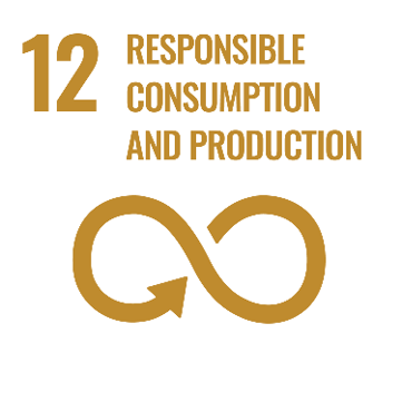 SDG 12: Responsible Consumption and Production