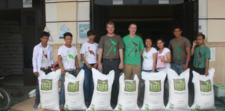 Cambodian rice NGO